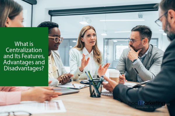 What is Centralization and Its Features, Advantages and Disadvantages?
