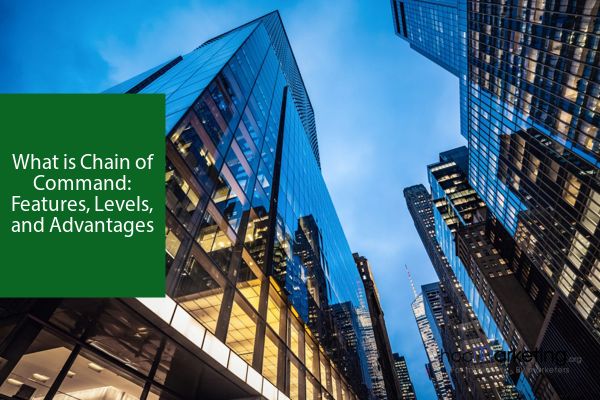 What is Chain of Command: Features, Levels, and Advantages