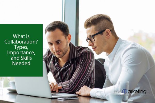 What is Collaboration? Types, Importance, and Skills Needed
