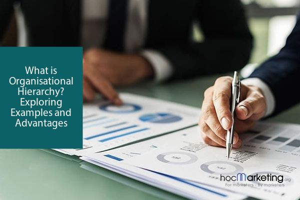 What is Organisational Hierarchy? Exploring Examples and Advantages