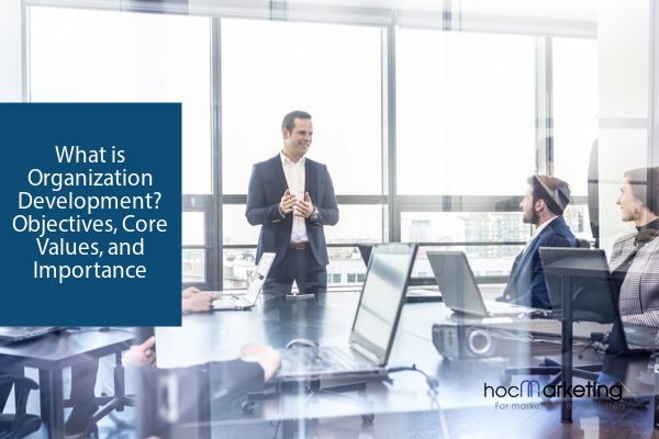 What is Organization Development? Objectives, Core Values, and Importance