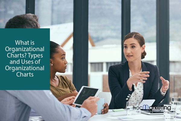 What are Organizational Charts? Types and Uses of Organizational Charts