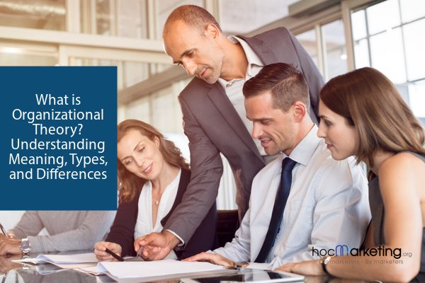 What is Organizational Theory? Understanding Meaning, Types, and Differences