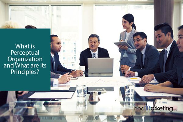 What is Perceptual Organization and What are its Principles?