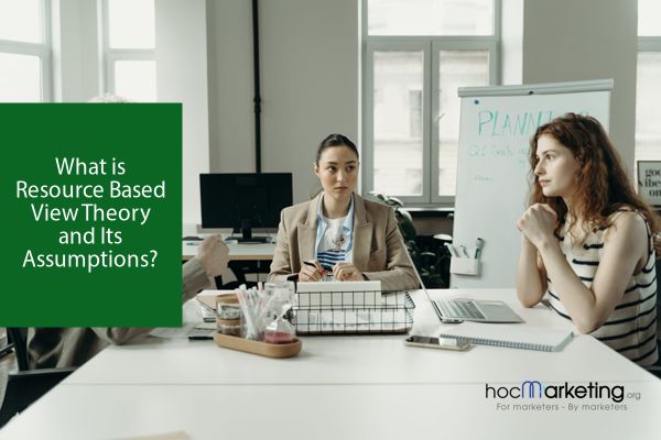 What is Resource Based View Theory and Its Assumptions?