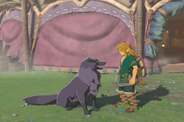 Zelda: The Joy of Animal Companionship